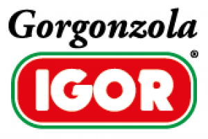 logo_igor